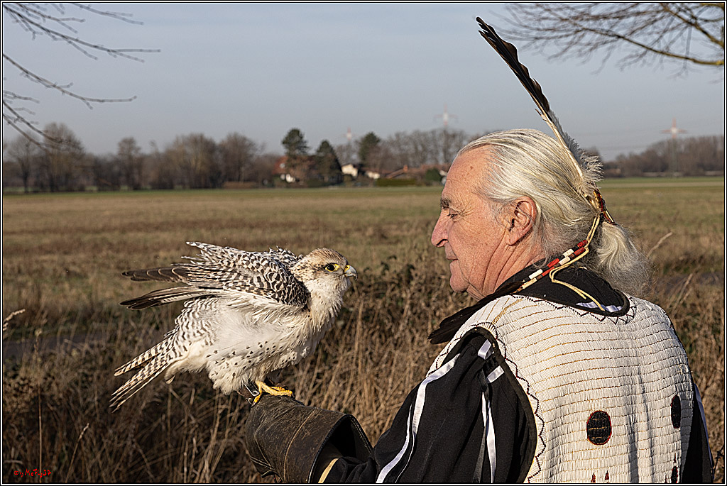 Cheyenne-Halbblut Hunting Wolf in der Falknerei Pierre Schmidt; Gymnich, 09.02.2023